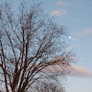 Meet your Posher, Cassie